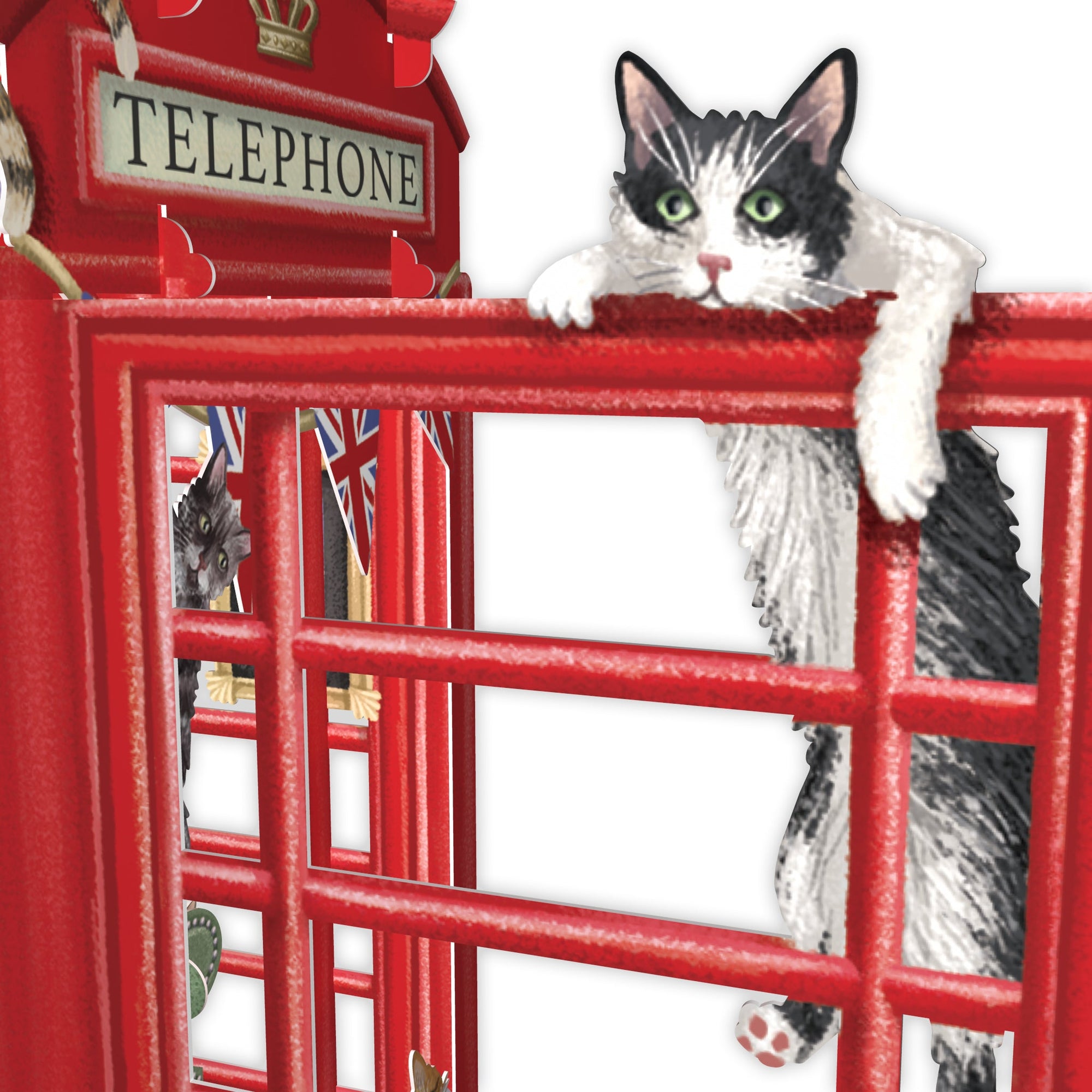 &quot;Dog &amp; Bone&quot; - 3D Pop Up Greetings Card