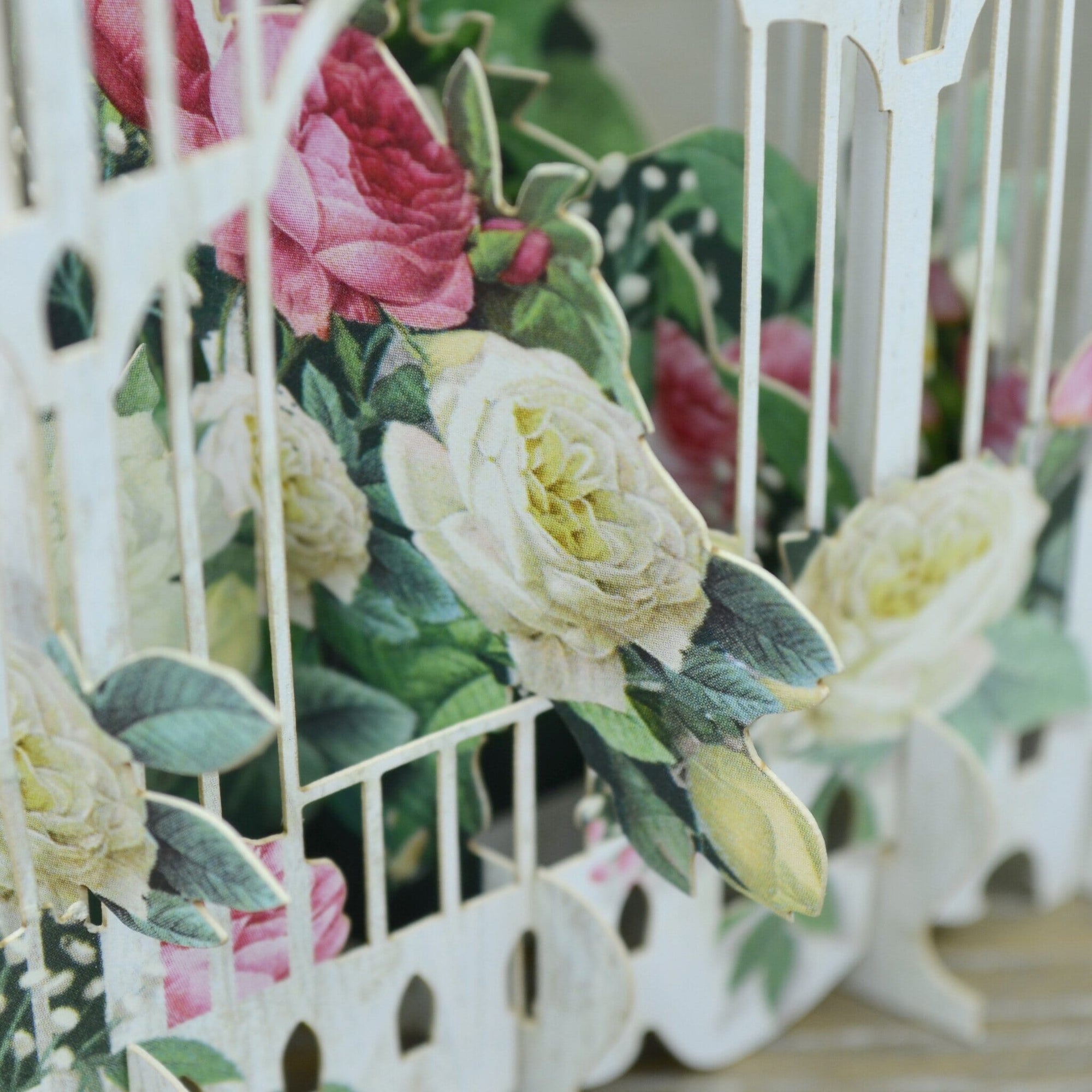 &quot;The Flower Cage&quot; - 3D Pop Up Greetings Card