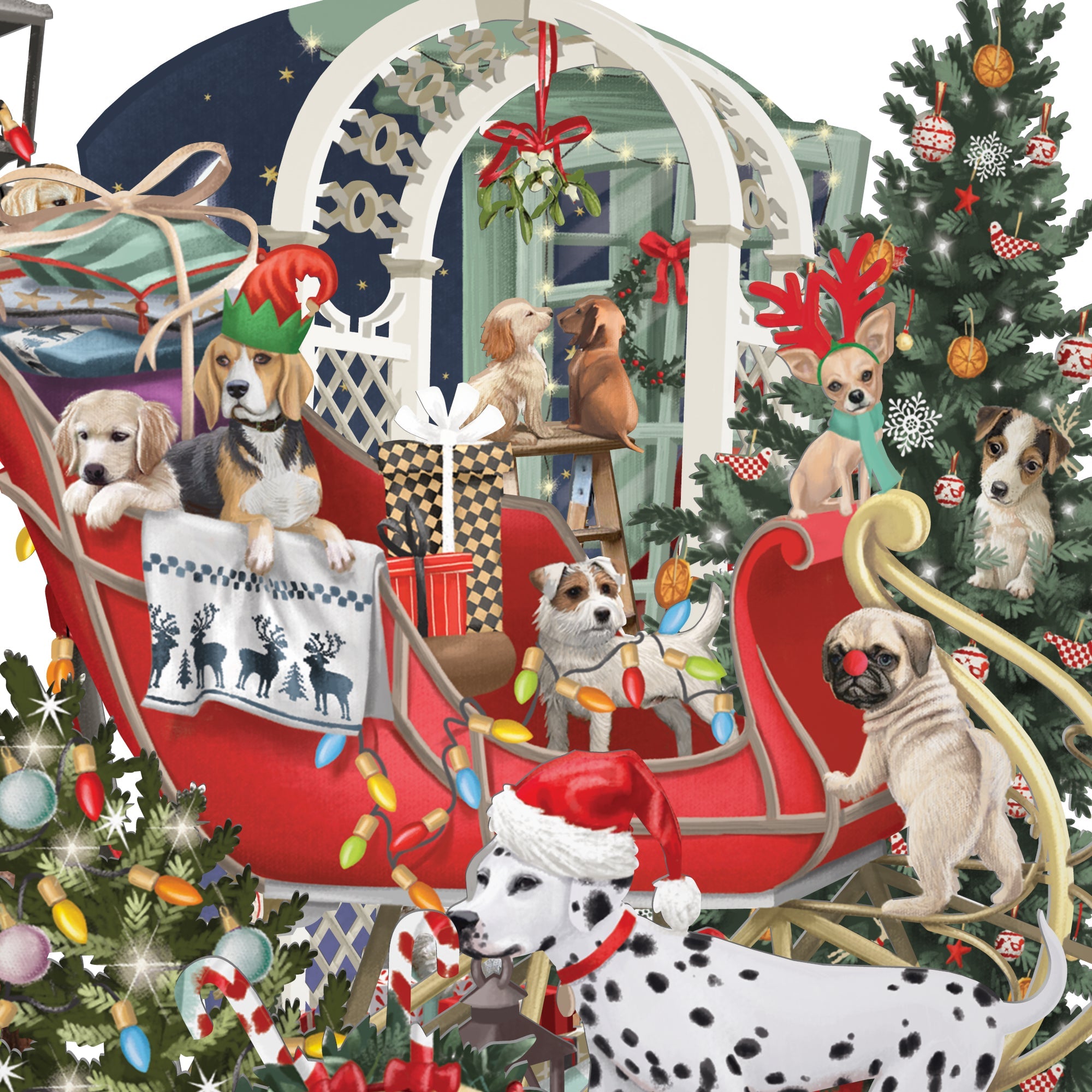 Doggie 3D Pop Up Christmas Cards